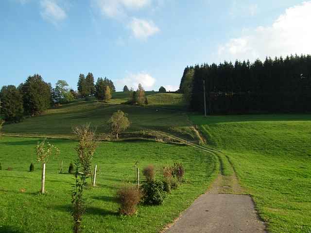 Landhaus Pfanzelt