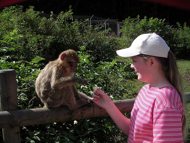 Ferienspiele 2005 - 3. Tag