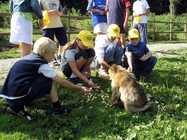 Ferienspiele 2005 - 3. Tag