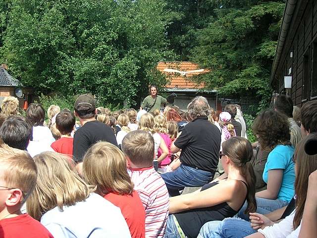 Ferienspiele 2007 - 8. Tag