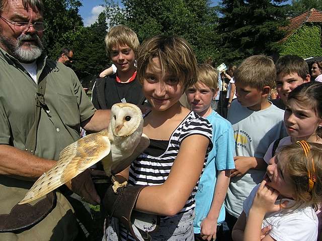 Ferienspiele 2007 - 8. Tag