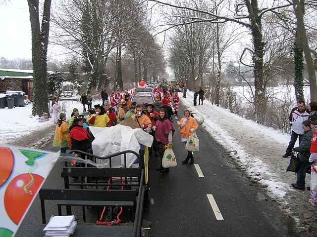 Karnevalszug 2010