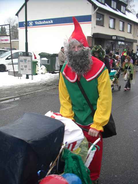 Karnevalszug 2010