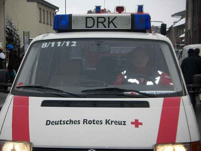 Karnevalszug 2010