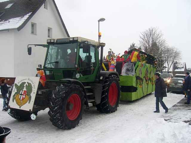 Karnevalszug 2010