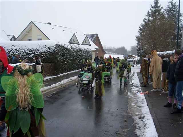 Karnevalszug 2010