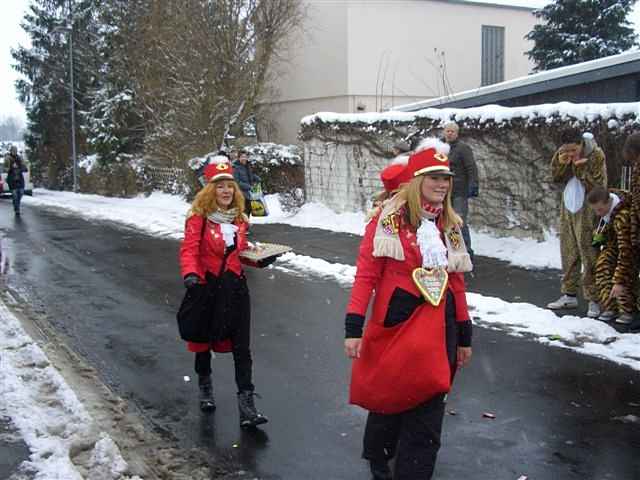 Karnevalszug 2010