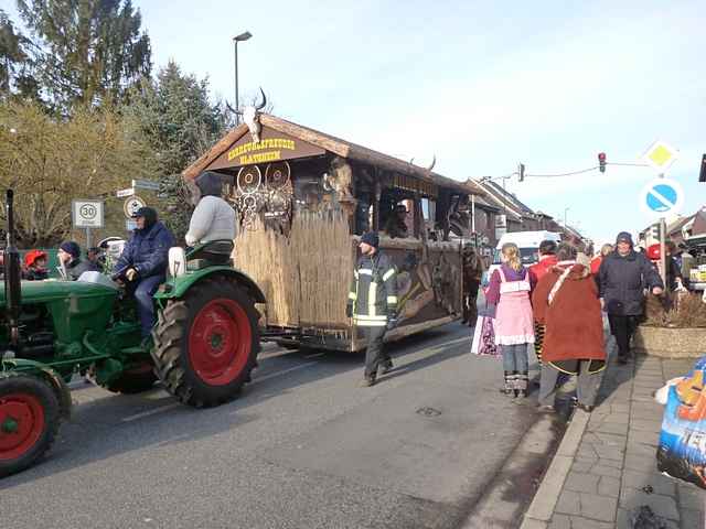 Karnevalszug 2013 - Oberdorf