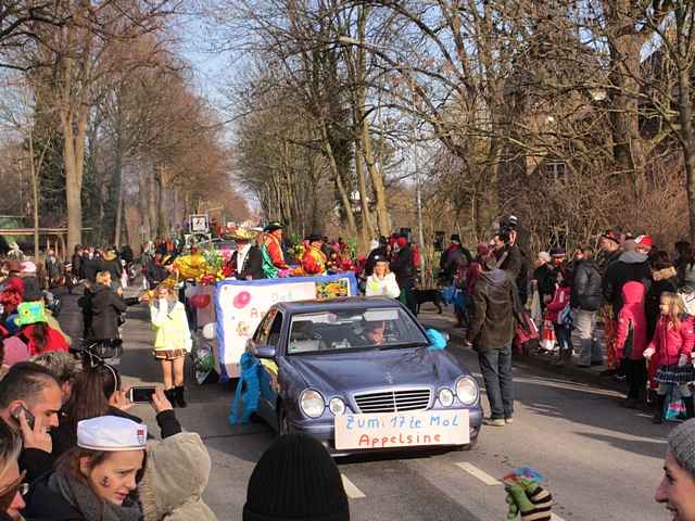 Karnevalszug 2013 - Kommandeursburg 2