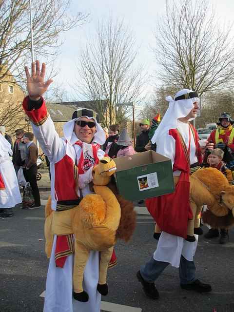 Karnevalszug 2013 - Kommandeursburg 2
