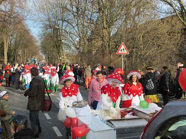 Karnevalszug 2013 - Kommandeursburg 2