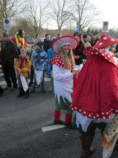 Karnevalszug 2013 - Kommandeursburg 2