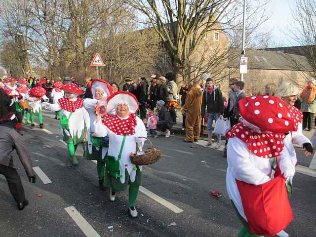 Karnevalszug 2013 - Kommandeursburg 2