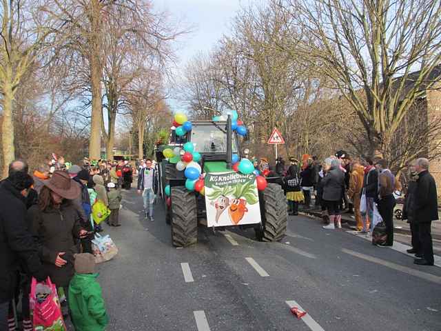 Karnevalszug 2013 - Kommandeursburg 2