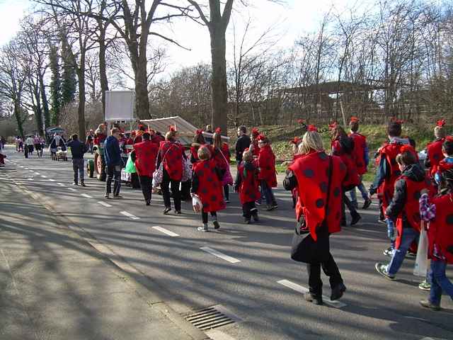 Karnevalszug 2014 - Bilder aus dem Zug