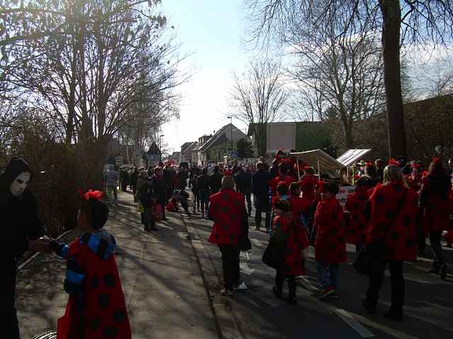 Karnevalszug 2014 - Bilder aus dem Zug