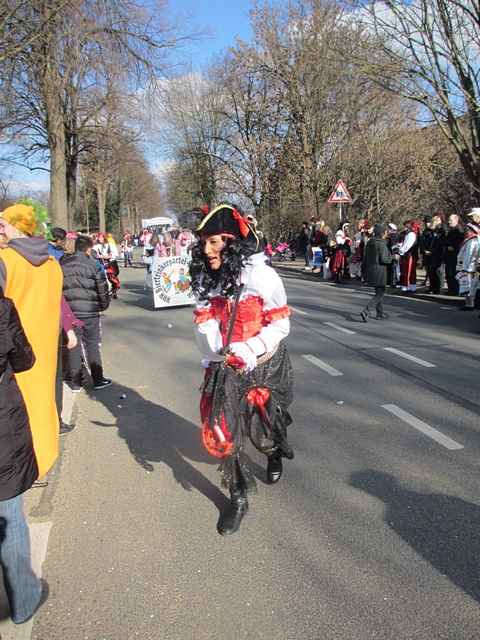 Karnevalszug 2014 - Bilder an der Kommandeursburg