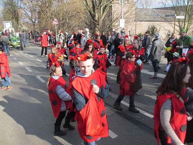 Karnevalszug 2014 - Bilder an der Kommandeursburg