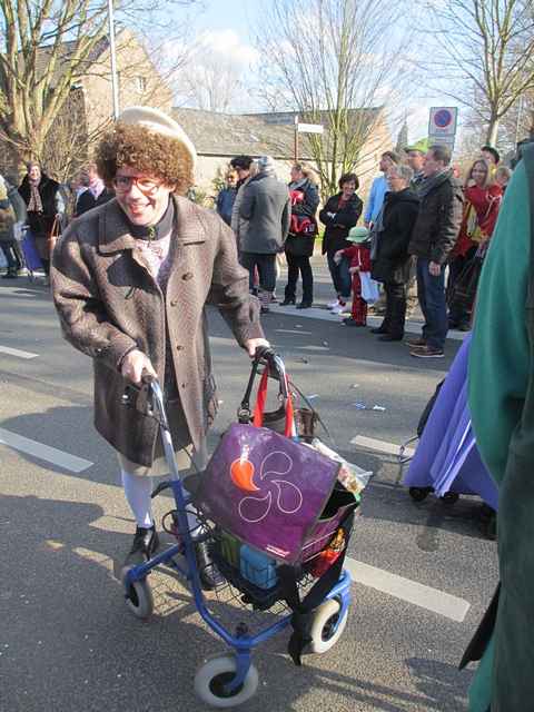 Karnevalszug 2014 - Bilder an der Kommandeursburg