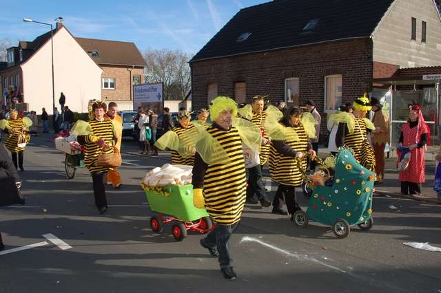 Karnevalszug 2008