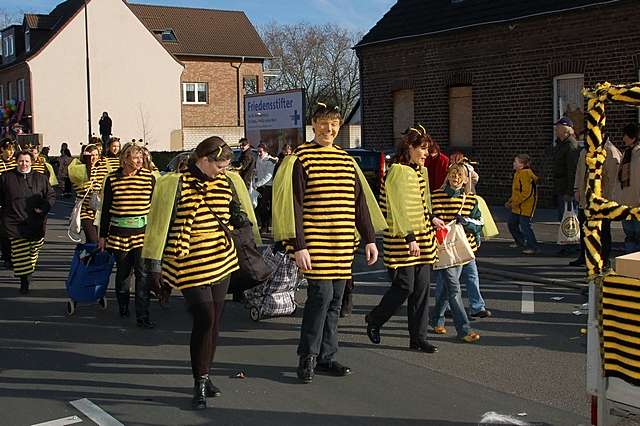 Karnevalszug 2008