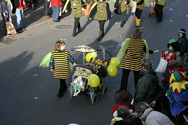 Karnevalszug 2008