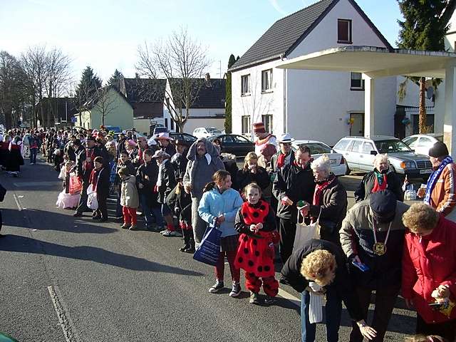 Karnevalszug 2008