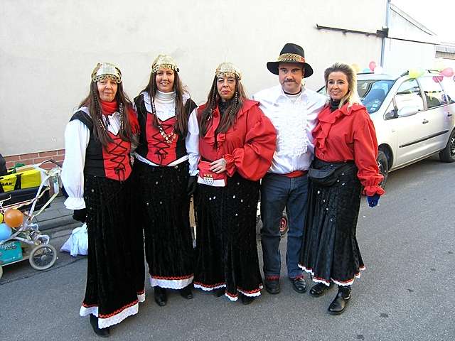 Karnevalszug 2008