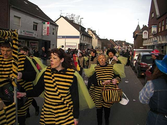 Karnevalszug 2008