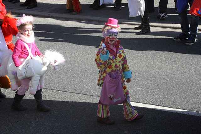 Karnevalszug 2011