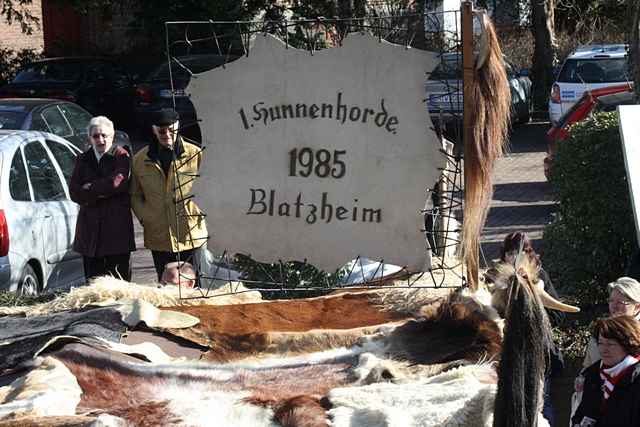 Karnevalszug 2011