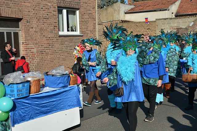 Karnevalszug 2015 - Bilder aus Bergerhausen