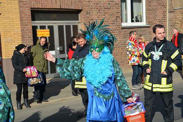 Karnevalszug 2015 - Bilder aus Bergerhausen