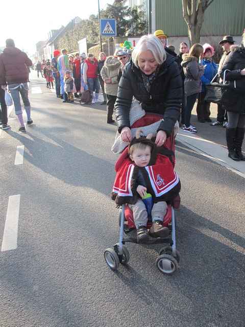 Karnevalszug 2015 - Bilder an der Kommandeursburg