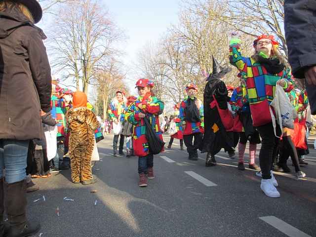 Karnevalszug 2015 - Bilder an der Kommandeursburg