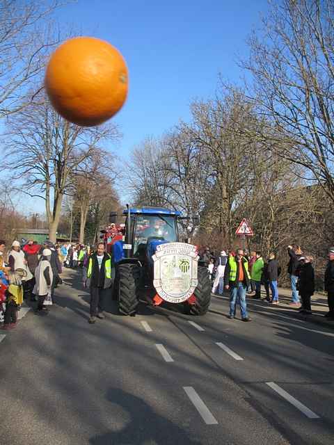 Karnevalszug 2015 - Bilder an der Kommandeursburg