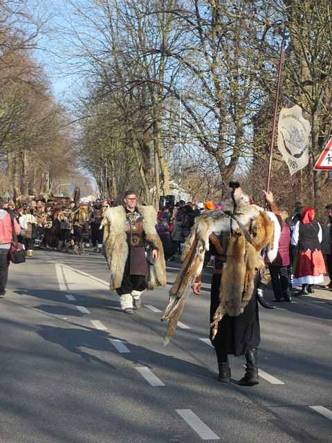 Karnevalszug 2015 - Bilder an der Kommandeursburg