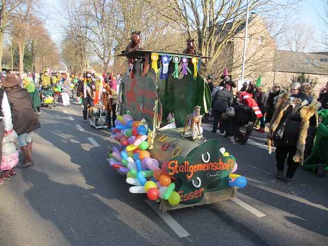 Karnevalszug 2015 - Bilder an der Kommandeursburg