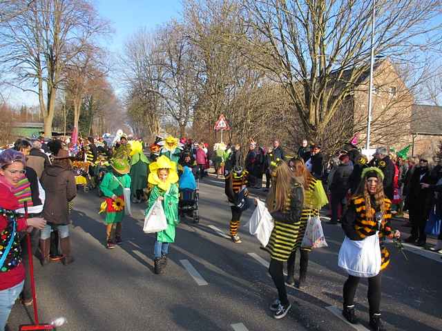 Karnevalszug 2015 - Bilder an der Kommandeursburg