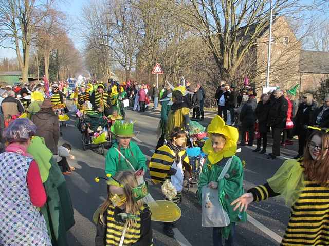 Karnevalszug 2015 - Bilder an der Kommandeursburg