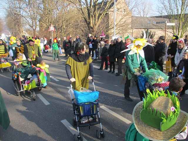 Karnevalszug 2015 - Bilder an der Kommandeursburg