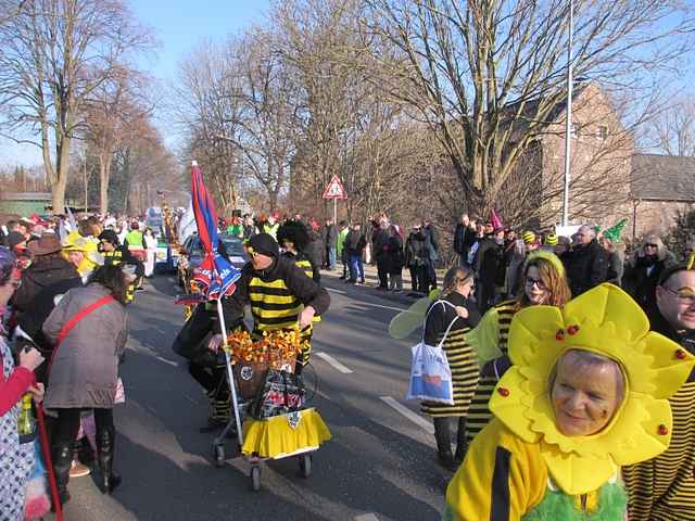 Karnevalszug 2015 - Bilder an der Kommandeursburg