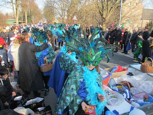 Karnevalszug 2015 - Bilder an der Kommandeursburg