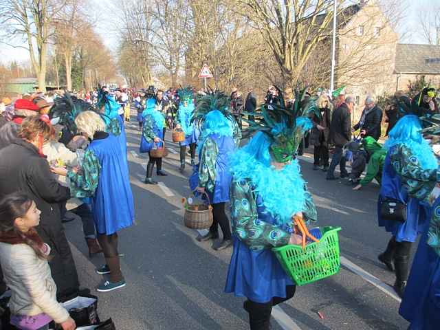 Karnevalszug 2015 - Bilder an der Kommandeursburg