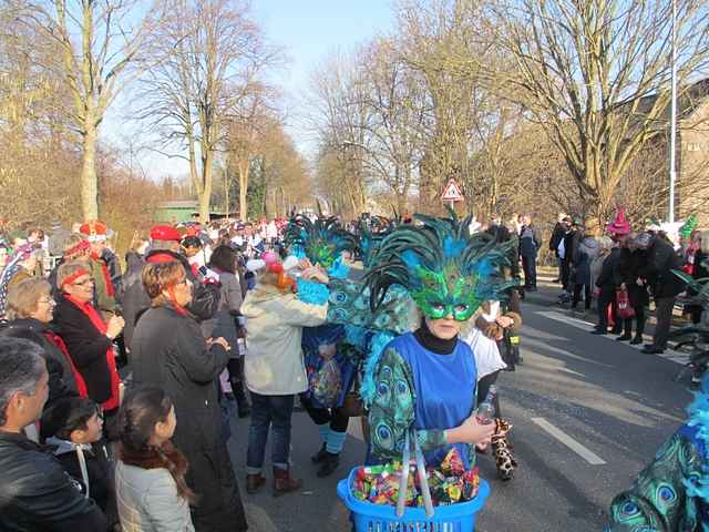 Karnevalszug 2015 - Bilder an der Kommandeursburg