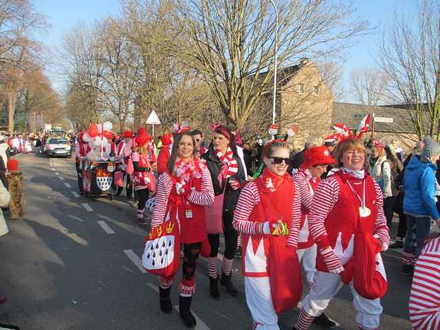 Karnevalszug 2015 - Bilder an der Kommandeursburg