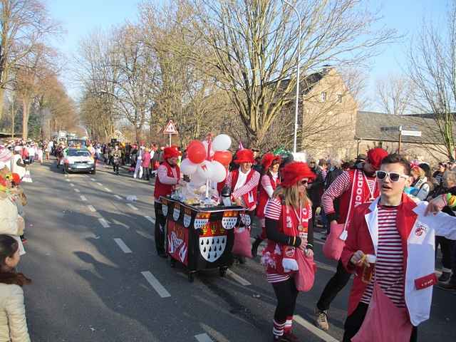 Karnevalszug 2015 - Bilder an der Kommandeursburg