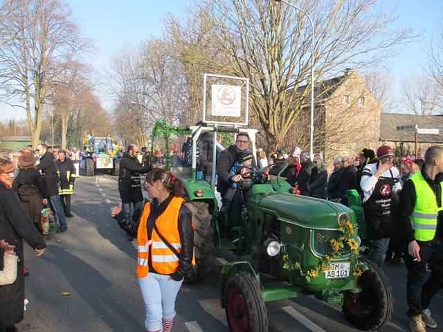 Karnevalszug 2015 - Bilder an der Kommandeursburg