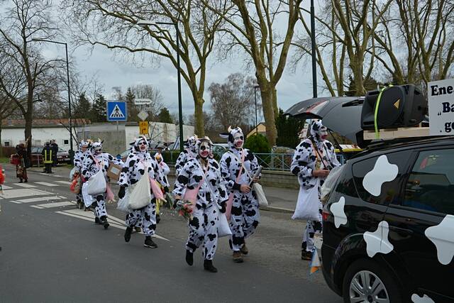 Karnevalszug 2016 - Bilder aus Bergerhausen