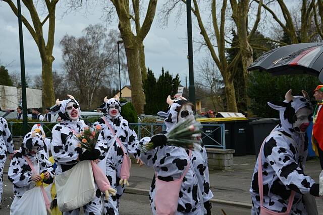 Karnevalszug 2016 - Bilder aus Bergerhausen